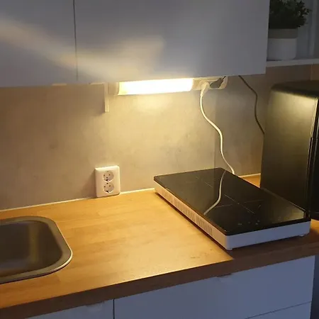 Apartment Arctic At Centre Rovaniemi