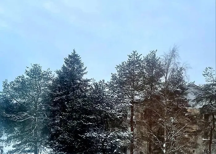 Apartment Arctic At Centre Rovaniemi