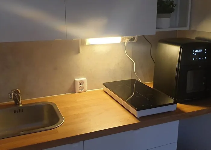 Apartment Arctic At Centre Rovaniemi